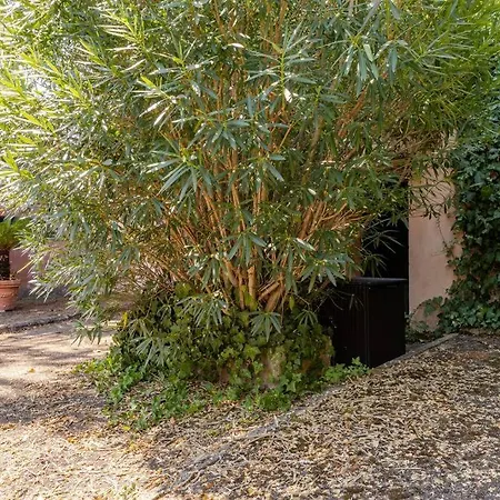 Minicasa Vatican Apartment Rome